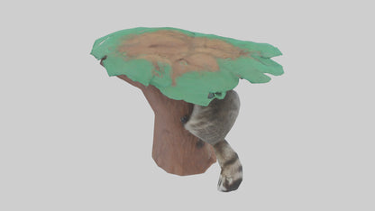 3D model Raccoon climbing tree model VR / AR / low-poly