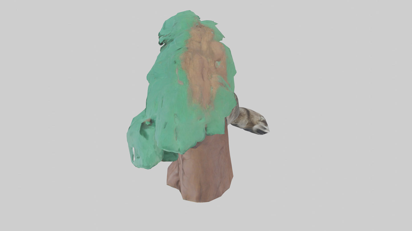 3D model Raccoon climbing tree model VR / AR / low-poly