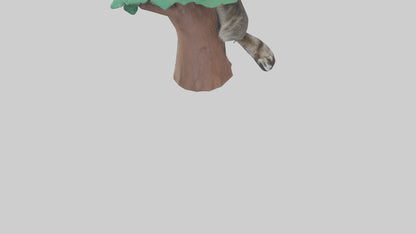 3D model Raccoon climbing tree model VR / AR / low-poly