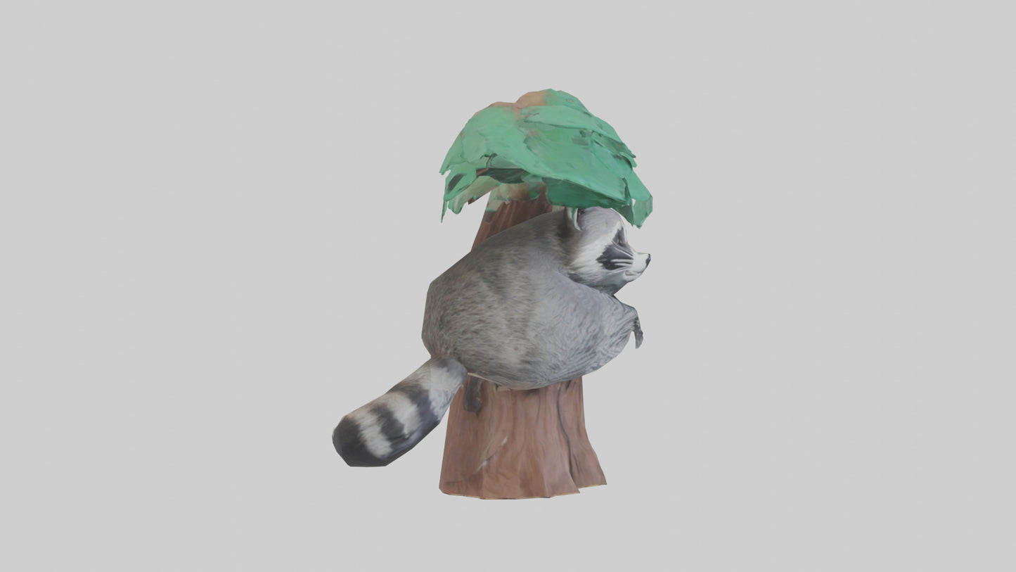 3D model Raccoon climbing tree model VR / AR / low-poly