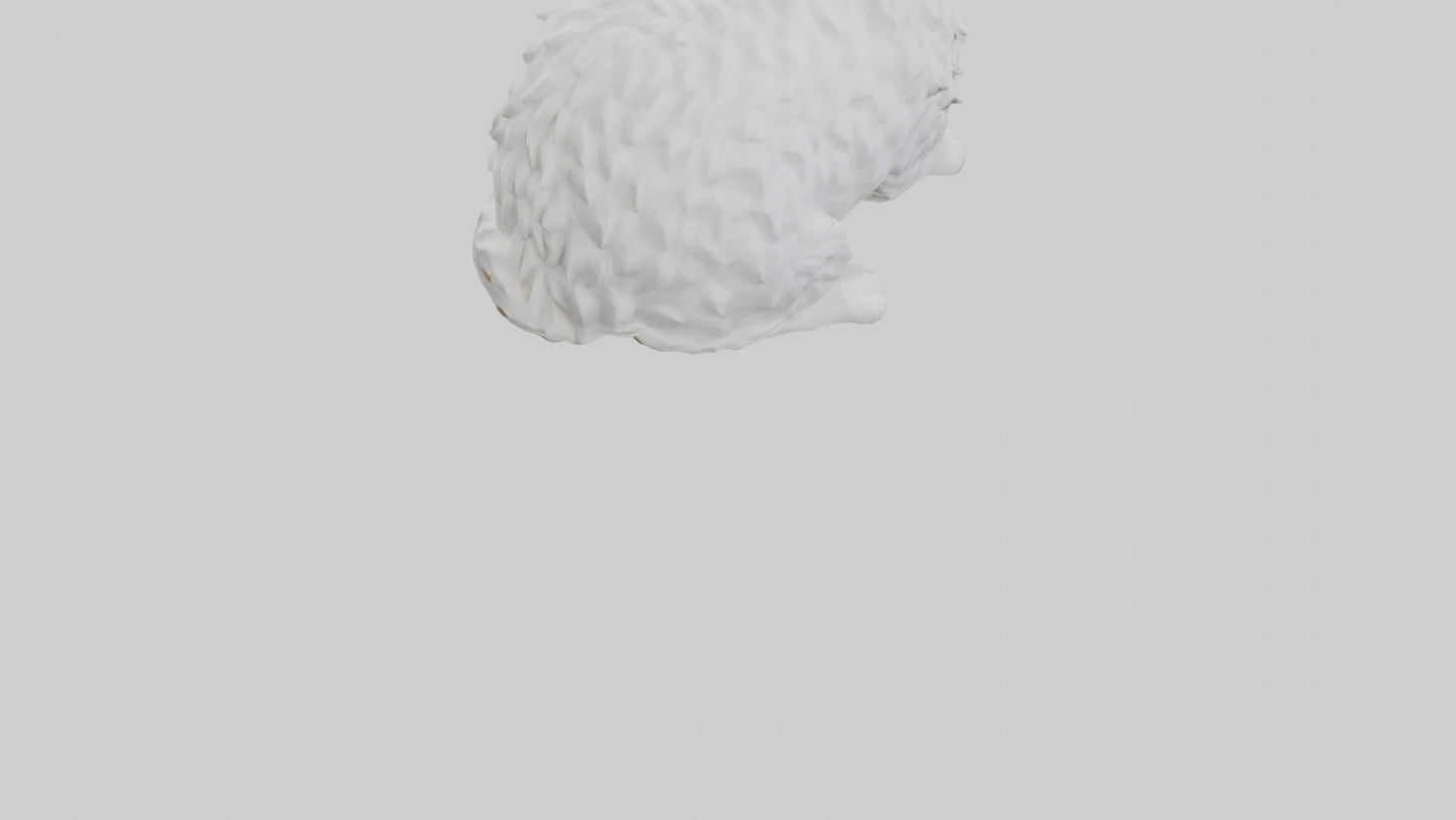 3D model Ragdoll Cat statue model VR / AR / low-poly