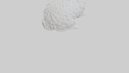 3D model Ragdoll Cat statue model VR / AR / low-poly