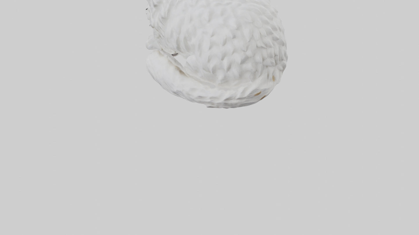 3D model Ragdoll Cat statue model VR / AR / low-poly