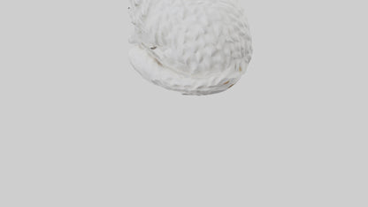 3D model Ragdoll Cat statue model VR / AR / low-poly