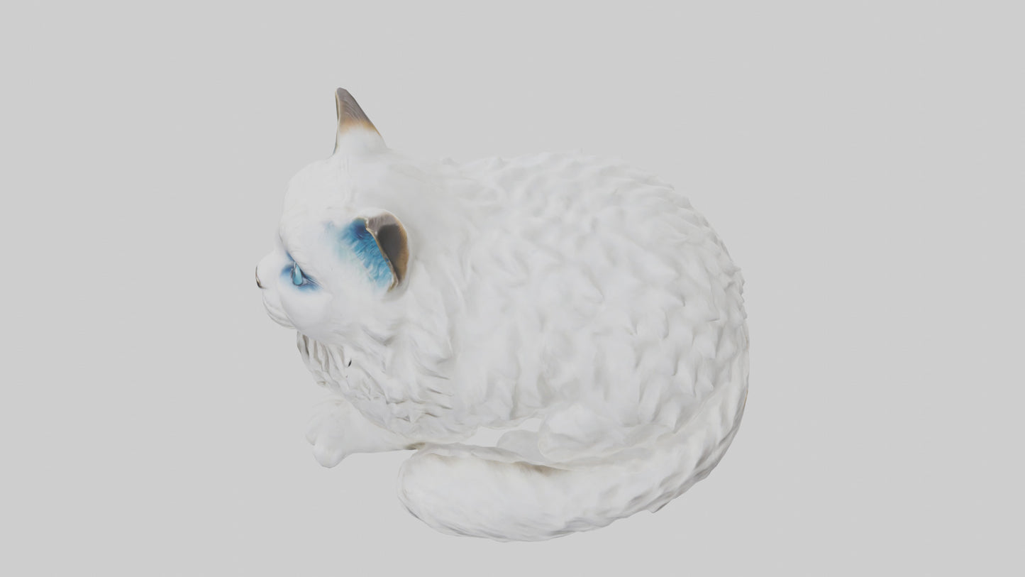3D model Ragdoll Cat statue model VR / AR / low-poly