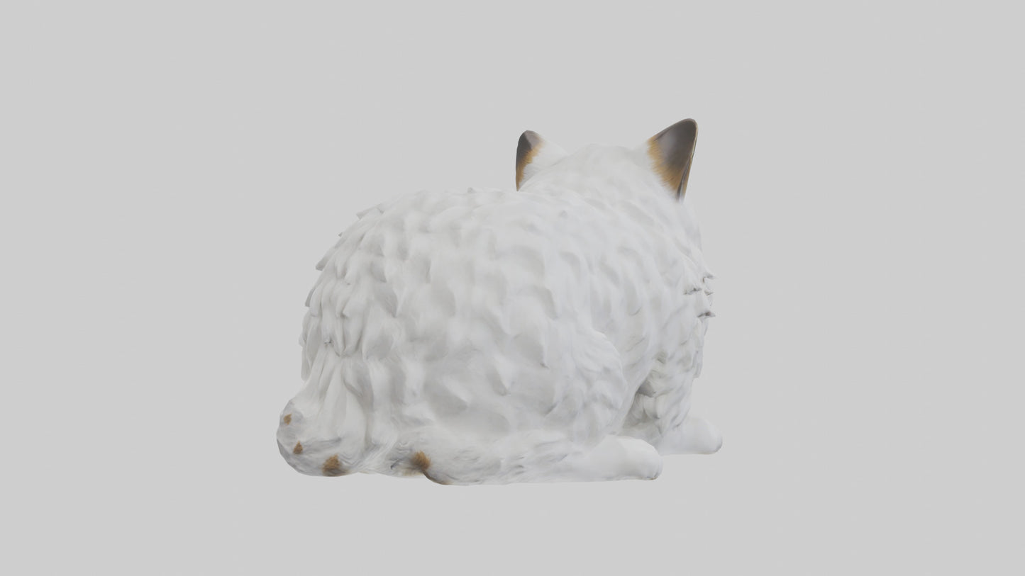 3D model Ragdoll Cat statue model VR / AR / low-poly