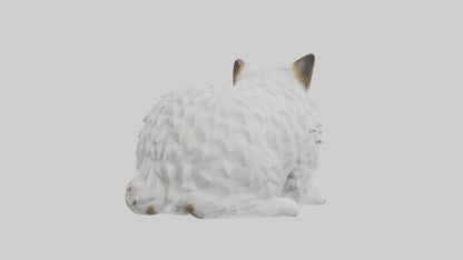 3D model Ragdoll Cat statue model VR / AR / low-poly
