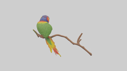Rainbow Lorikeet perched model VR / AR / low-poly