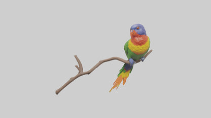 Rainbow Lorikeet perched model VR / AR / low-poly