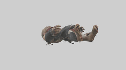 3D model Rancid corpse model VR / AR / low-poly