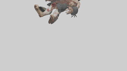3D model Rancid corpse model VR / AR / low-poly