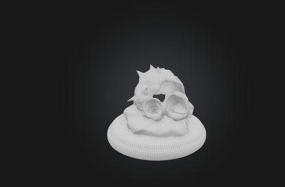 3D model Rare Shell Collection VR / AR / low-poly