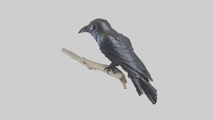 3D model Rattlesnake Tail VR / AR / low-poly