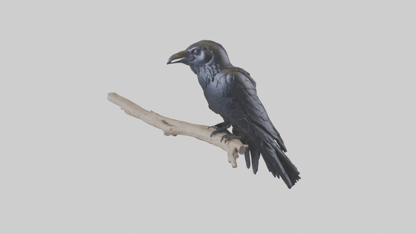 3D model Rattlesnake Tail VR / AR / low-poly