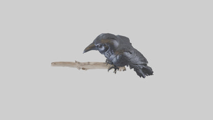 3D model Rattlesnake Tail VR / AR / low-poly