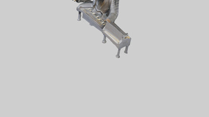 3D model Rattlesnake Tail VR / AR / low-poly