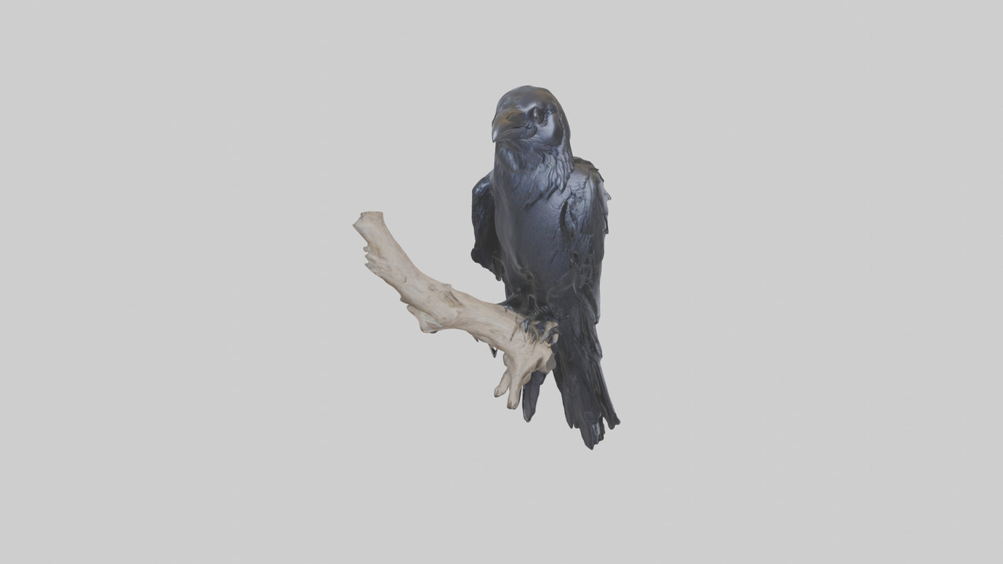 3D model Rattlesnake Tail VR / AR / low-poly