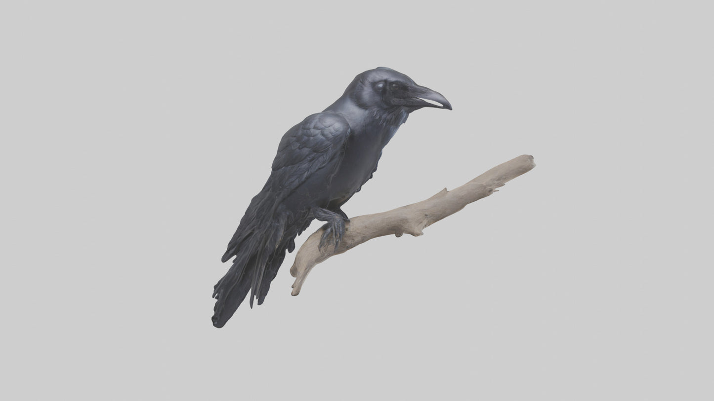 3D model Rattlesnake Tail VR / AR / low-poly