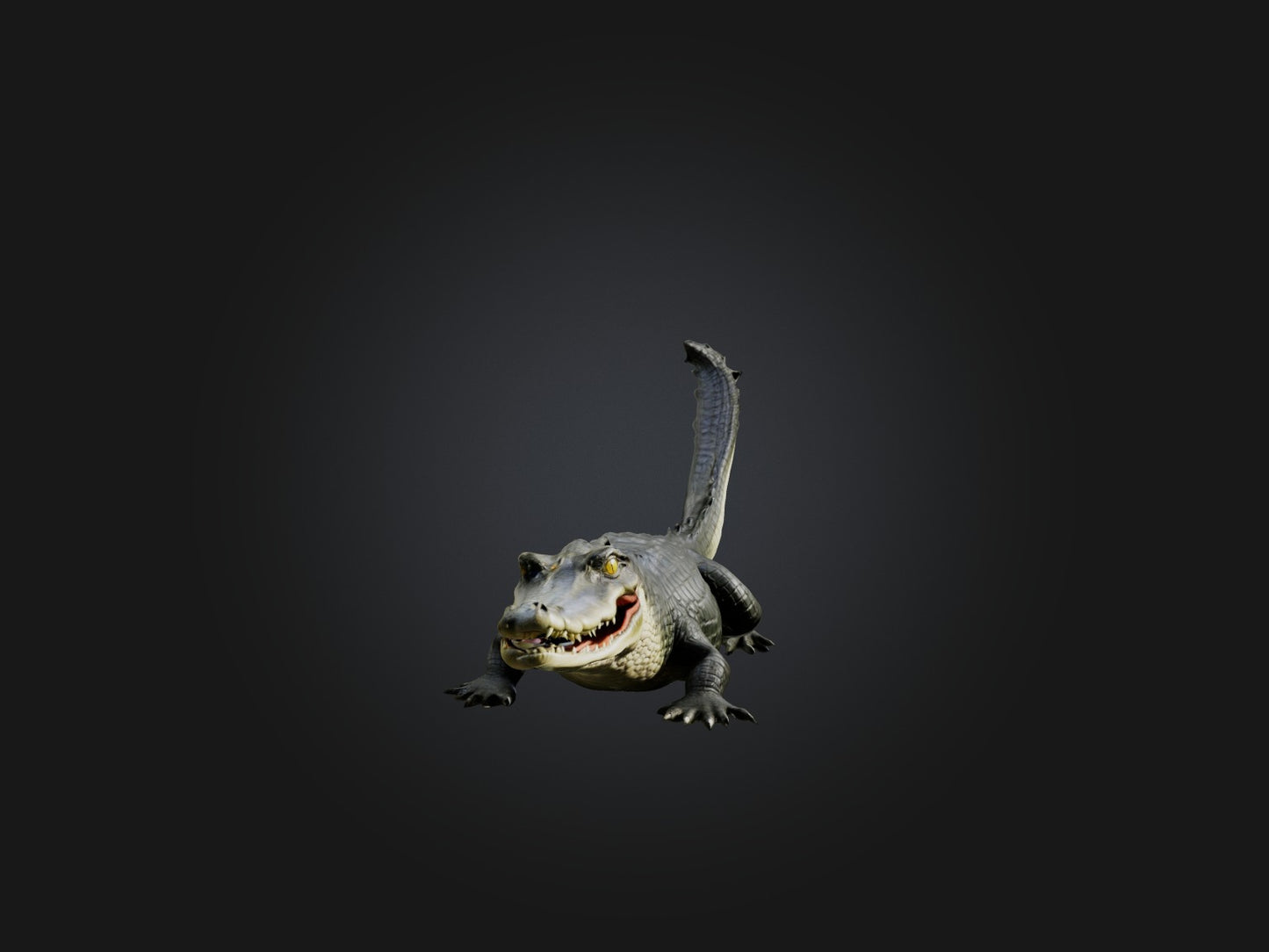 3D model Realistic Alligator Model VR / AR / low-poly