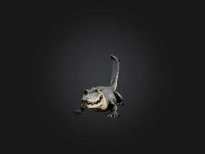 3D model Realistic Alligator Model VR / AR / low-poly