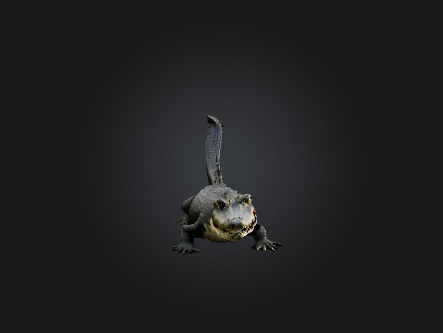 3D model Realistic Alligator Model VR / AR / low-poly