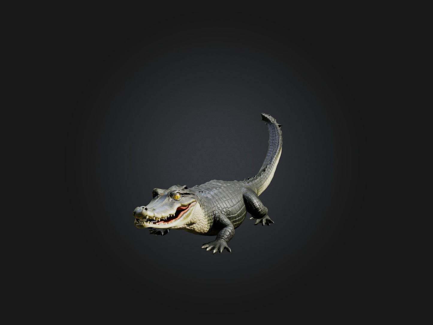 3D model Realistic Alligator Model VR / AR / low-poly