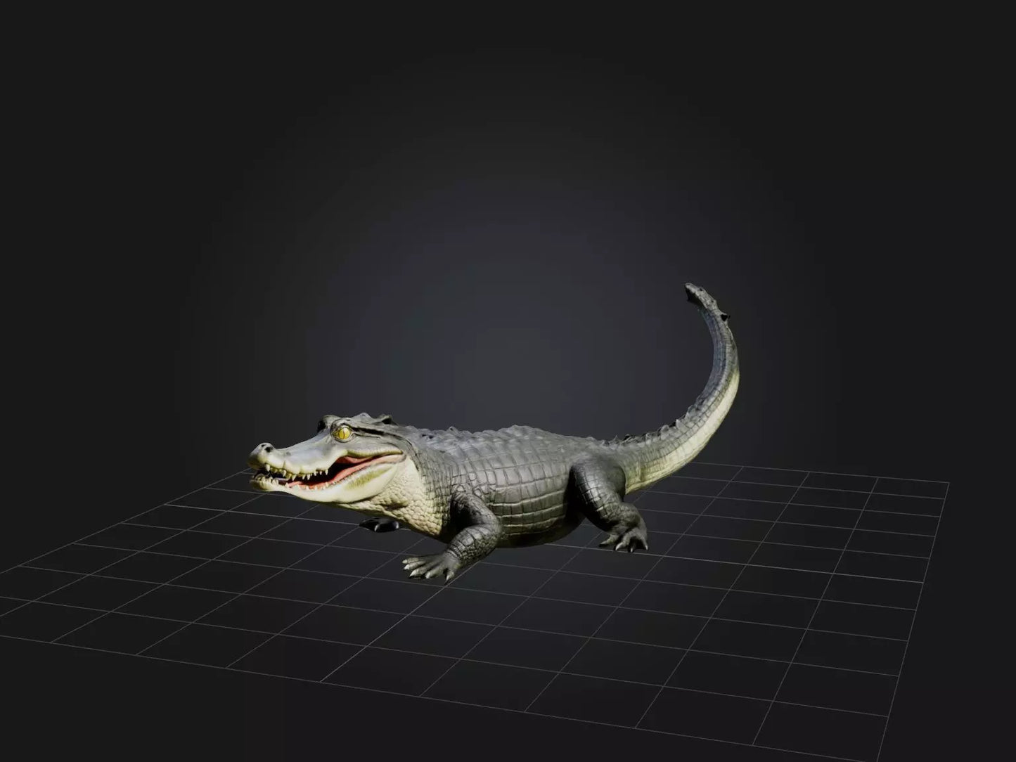 3D model Realistic Alligator Model VR / AR / low-poly