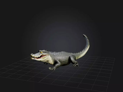 3D model Realistic Alligator Model VR / AR / low-poly