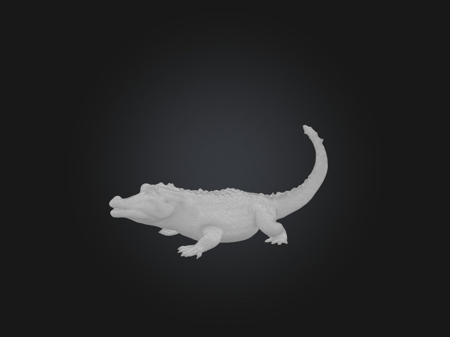 3D model Realistic Alligator Model VR / AR / low-poly