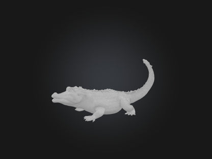 3D model Realistic Alligator Model VR / AR / low-poly