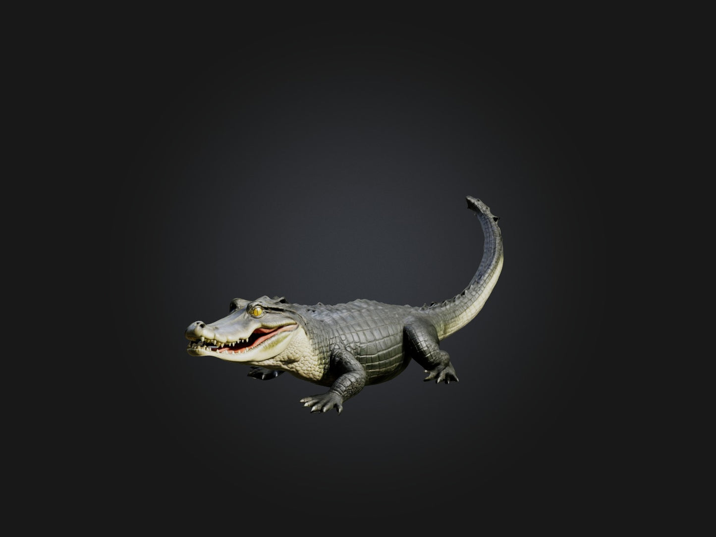 3D model Realistic Alligator Model VR / AR / low-poly