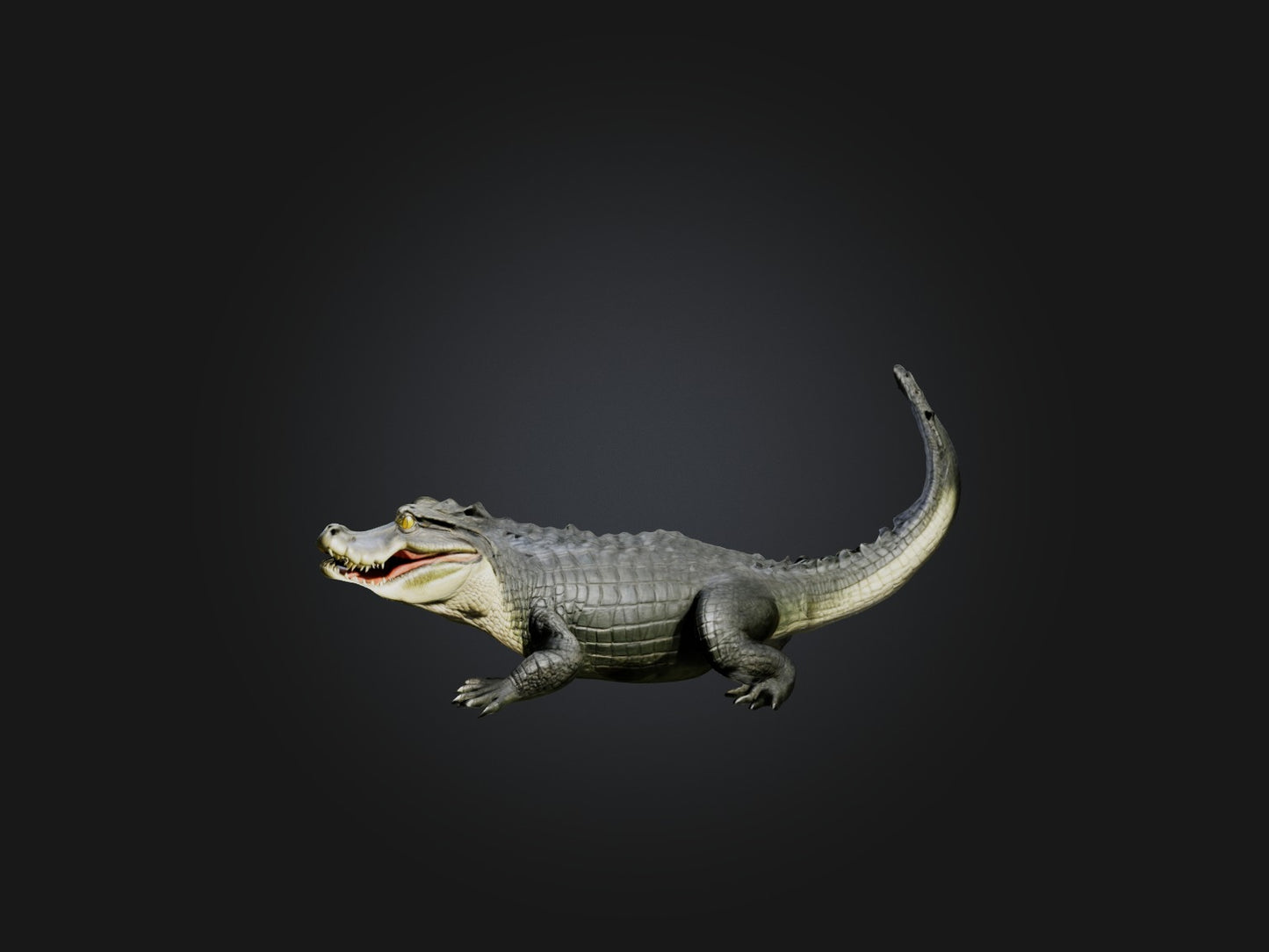 3D model Realistic Alligator Model VR / AR / low-poly