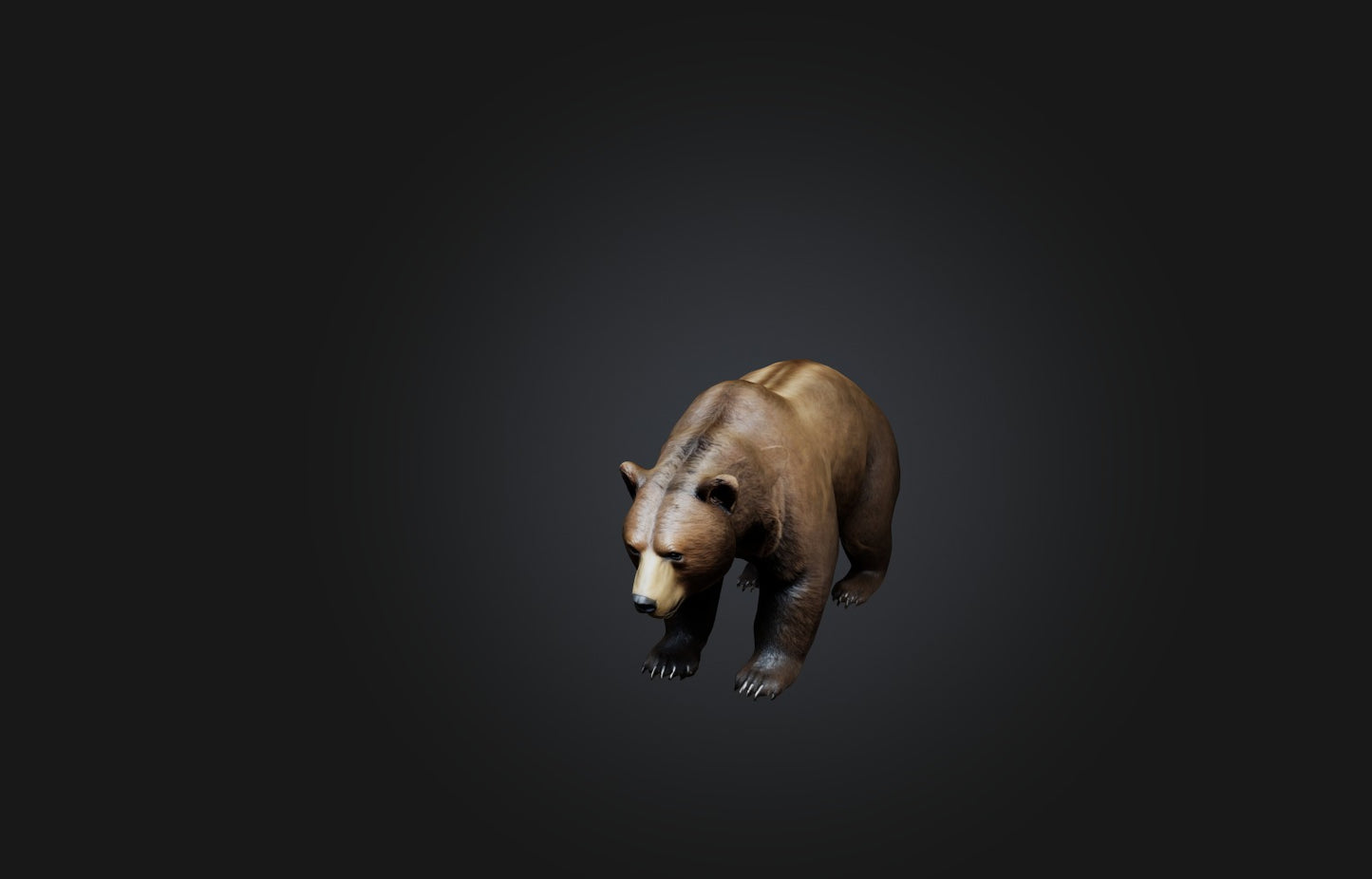 3D model Realistic Bear VR / AR / low-poly