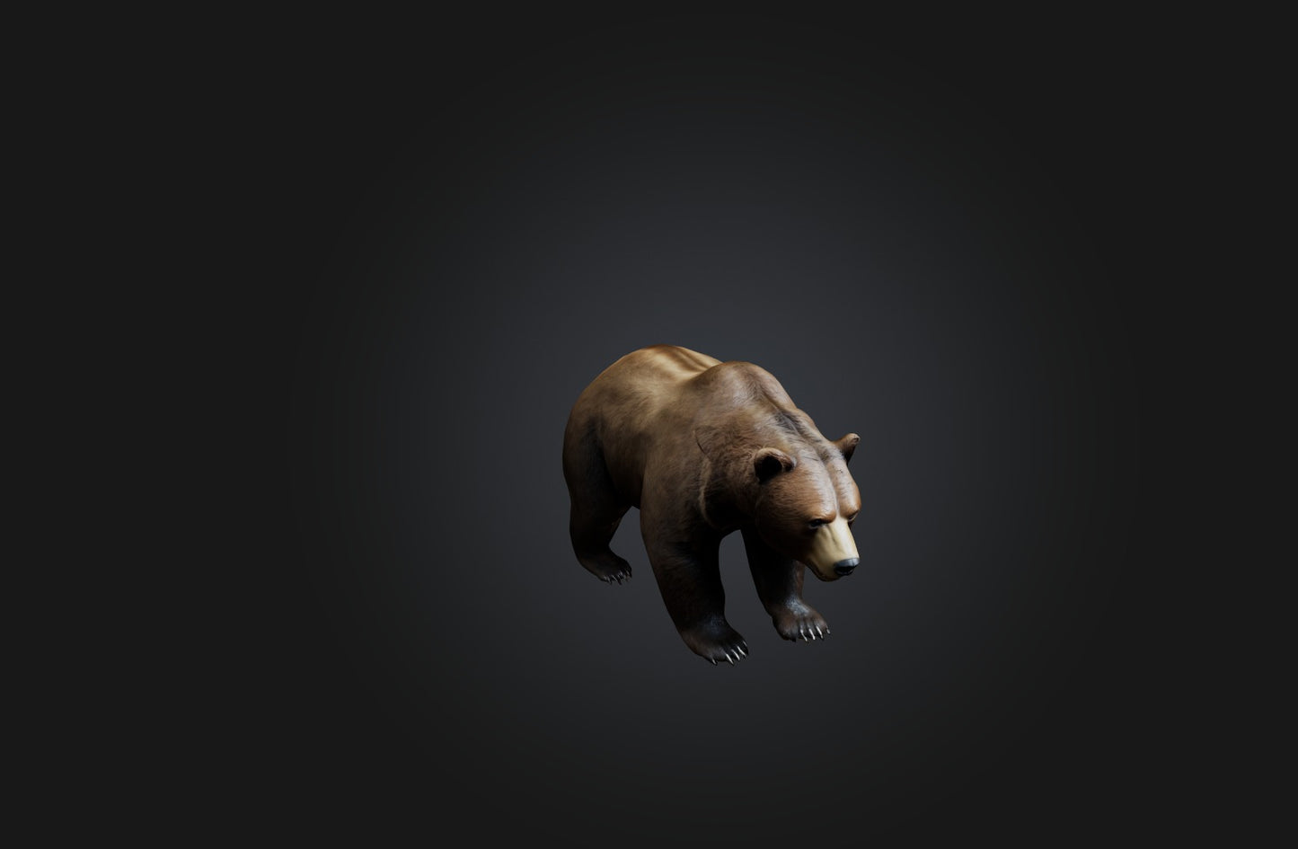 3D model Realistic Bear VR / AR / low-poly