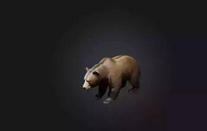 3D model Realistic Bear VR / AR / low-poly