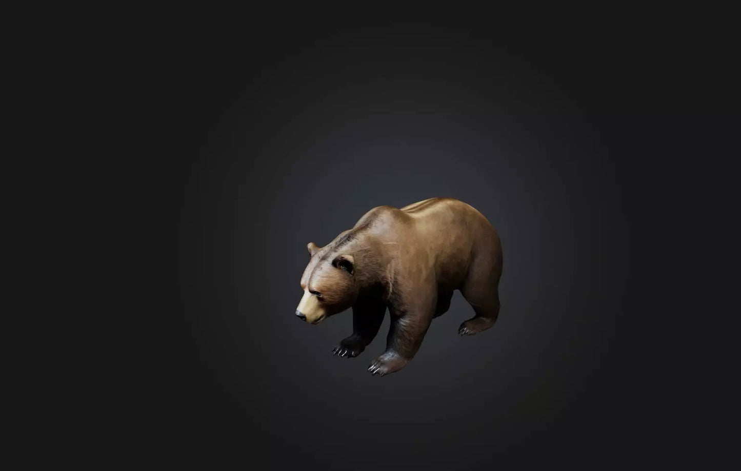 3D model Realistic Bear VR / AR / low-poly