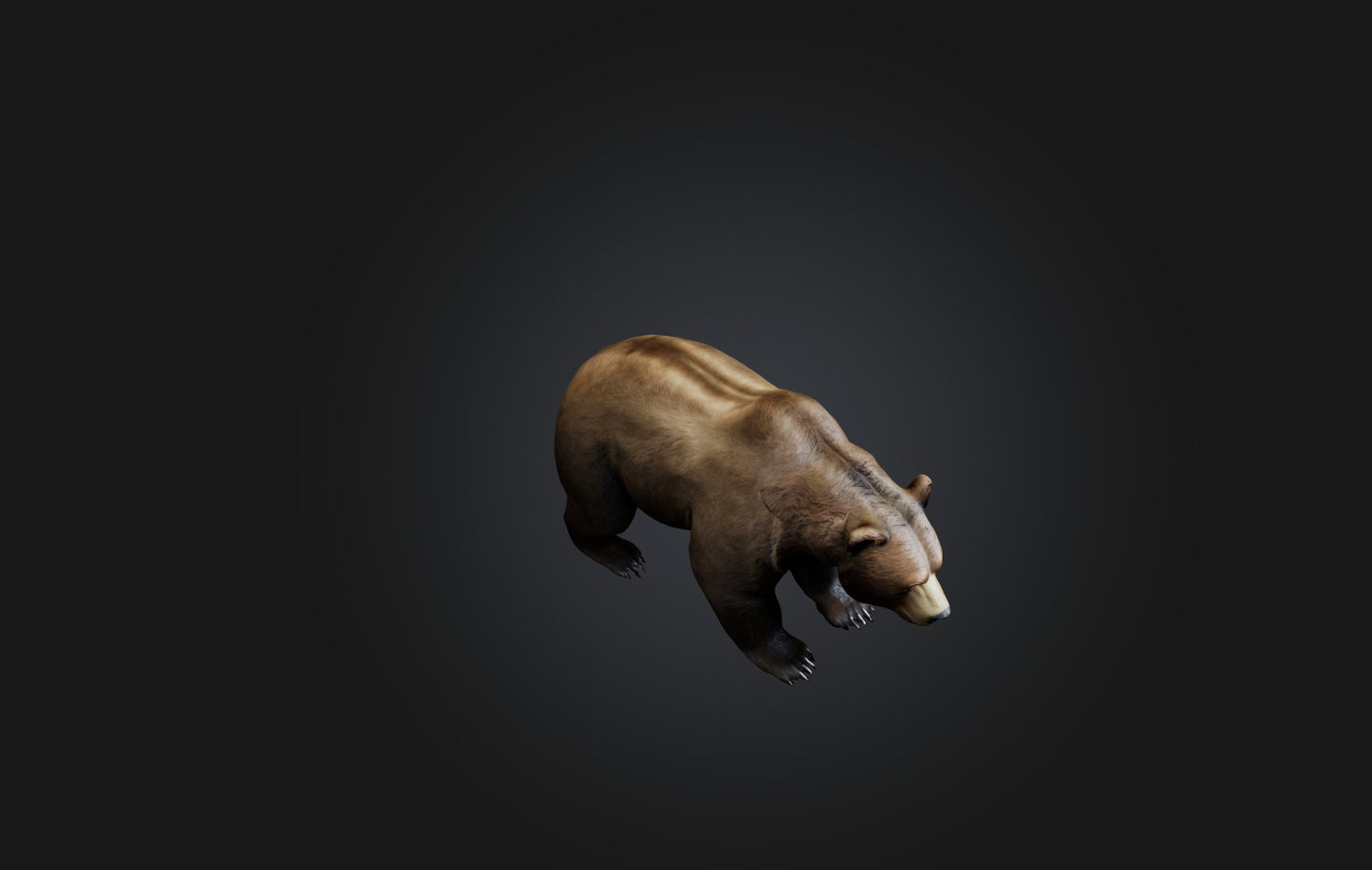 3D model Realistic Bear VR / AR / low-poly