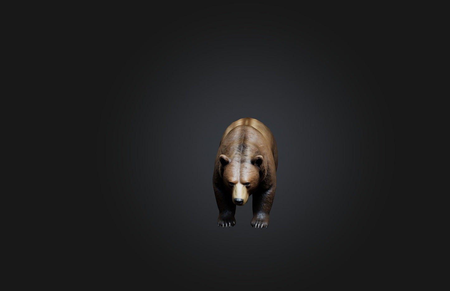 3D model Realistic Bear VR / AR / low-poly