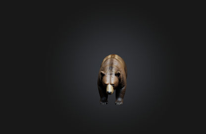 3D model Realistic Bear VR / AR / low-poly