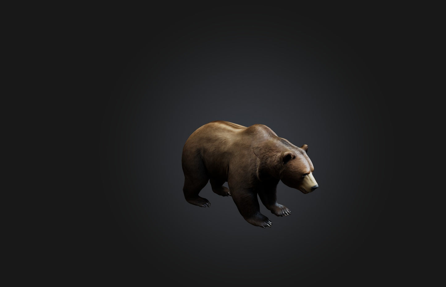 3D model Realistic Bear VR / AR / low-poly