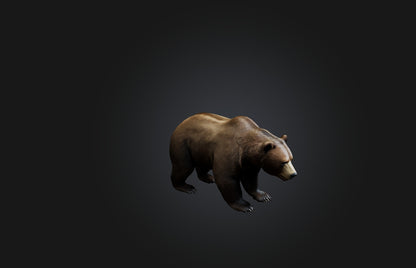 3D model Realistic Bear VR / AR / low-poly