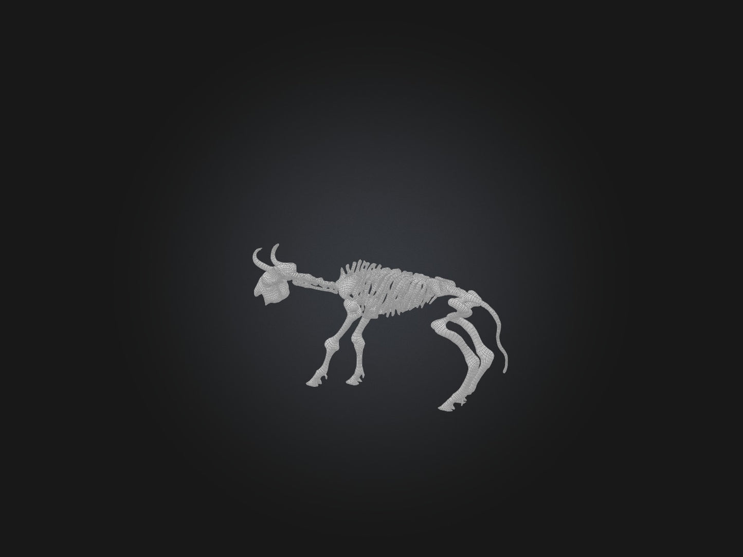 3D model Realistic Bison Skeleton Model VR / AR / low-poly