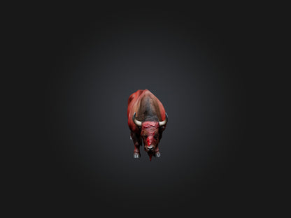 3D model Realistic Bleeding Bison Model VR / AR / low-poly
