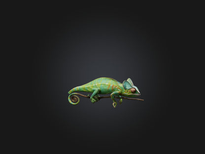 3D model Realistic Chameleon Model VR / AR / low-poly