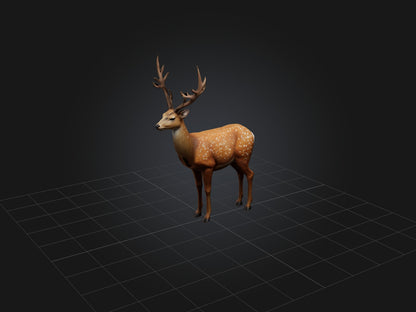 3D model Realistic Deer Model VR / AR / low-poly
