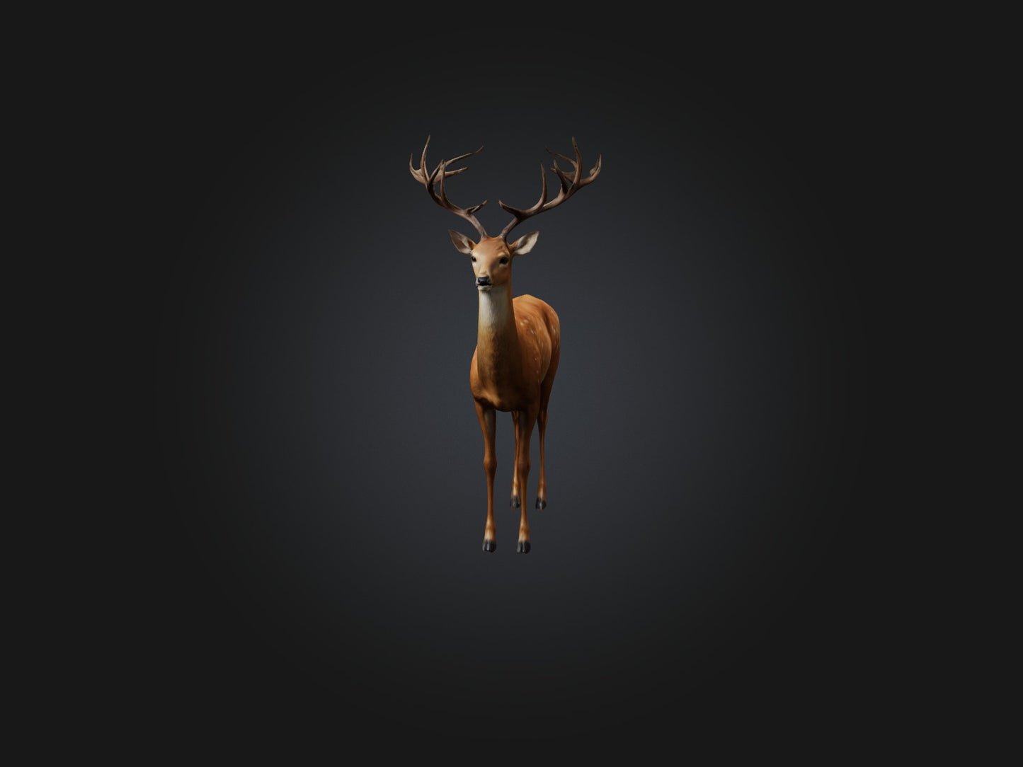 3D model Realistic Deer Model VR / AR / low-poly