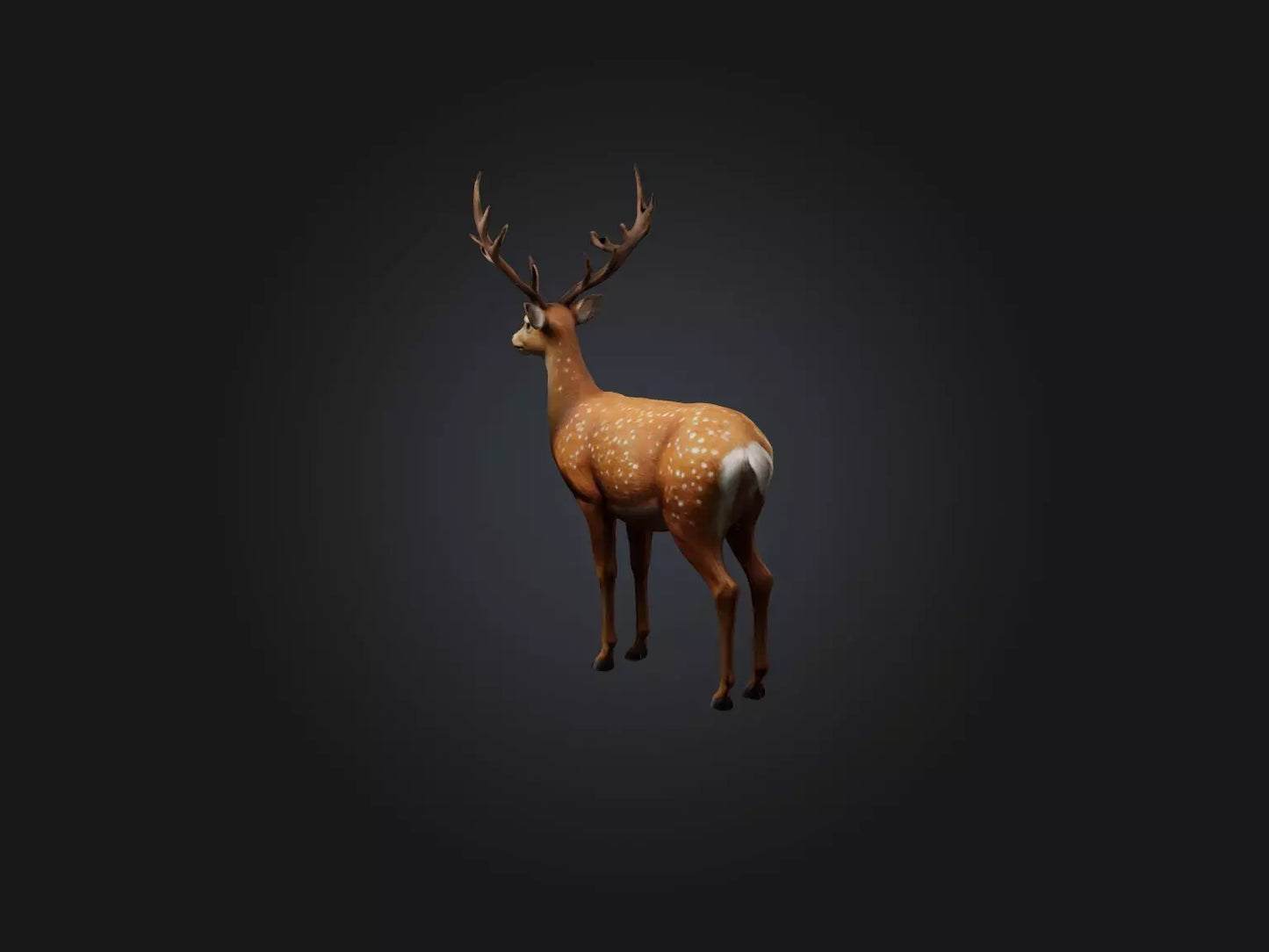 3D model Realistic Deer Model VR / AR / low-poly