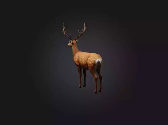 3D model Realistic Deer Model VR / AR / low-poly