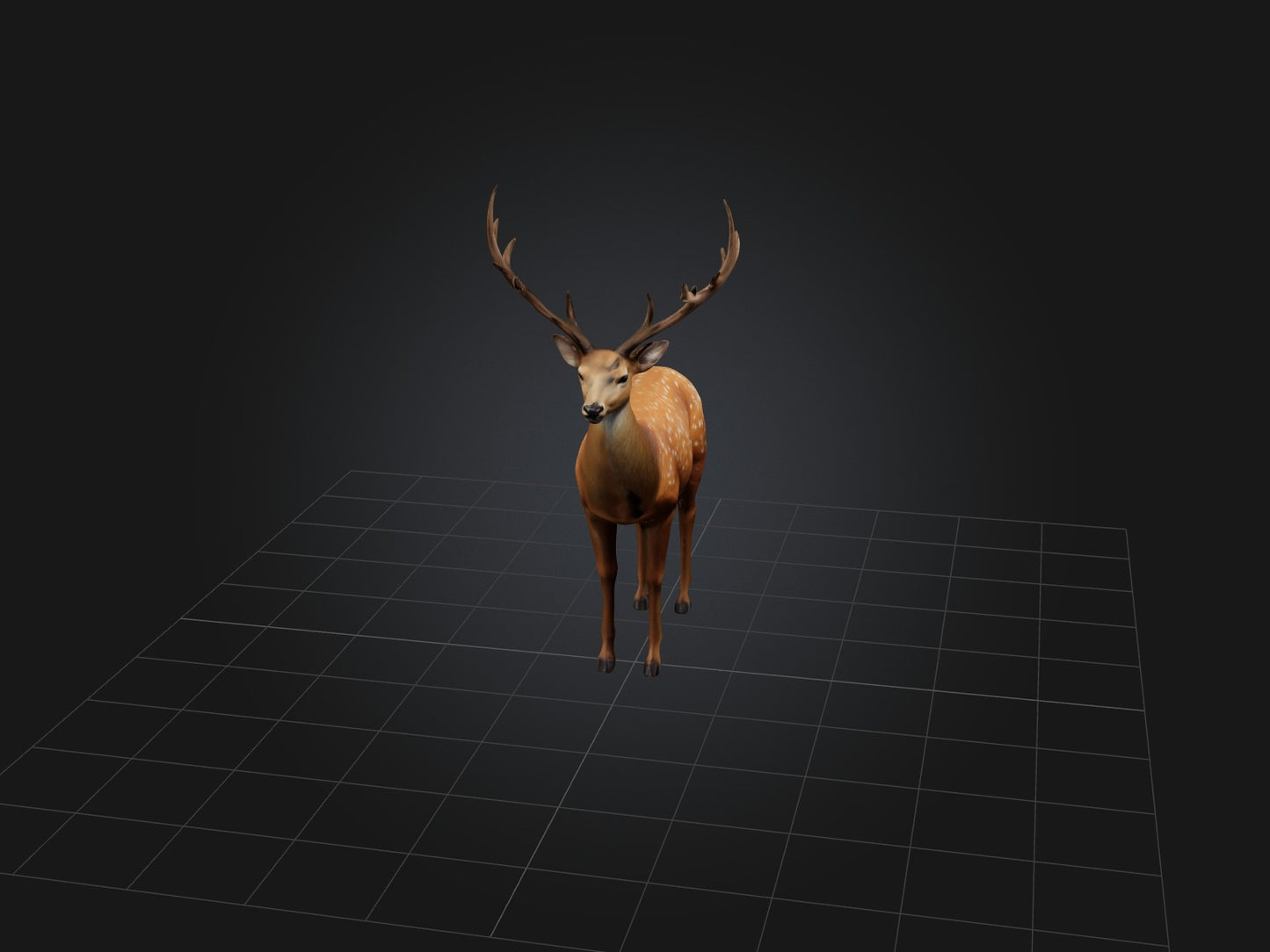 3D model Realistic Deer Model VR / AR / low-poly