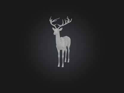 3D model Realistic Deer Model VR / AR / low-poly